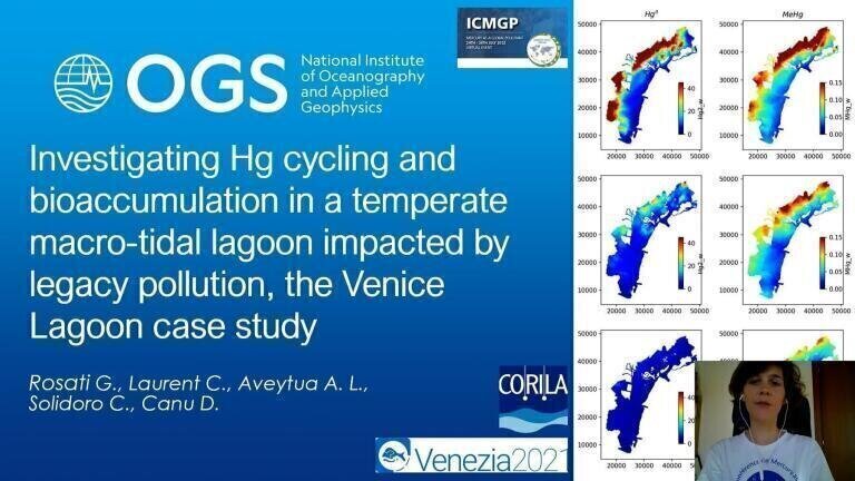 Investigating Hg Cycling and Bioaccumulation in a Temperate Macro-tidal Lagoon Impacted by Legacy Pollution